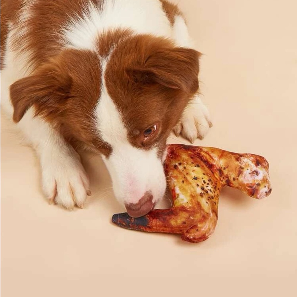 Chicken Wing Design Pet Plush Toy 🐕
